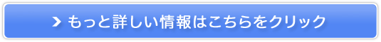 Tvu~CX^[v̔TCg